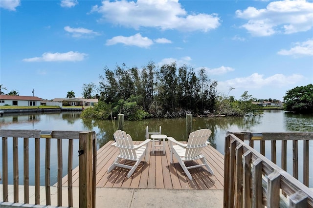 8702 Driftwood Dr, Tampa, FL 33615 - photo 5