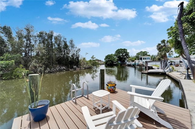 8702 Driftwood Dr, Tampa, FL 33615 - photo 6