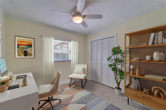 8702 Driftwood Dr, Tampa, FL 33615 - photo 19