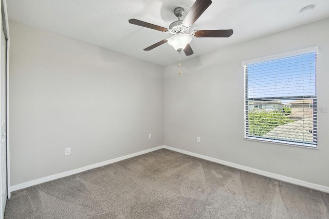 4183 Ballantrae Blvd, Land O Lakes, FL 34638 - photo 21