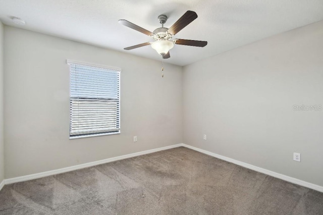 4183 Ballantrae Blvd, Land O Lakes, FL 34638 - photo 23