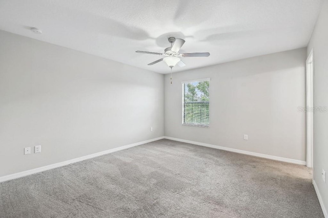 4183 Ballantrae Blvd, Land O Lakes, FL 34638 - photo 25