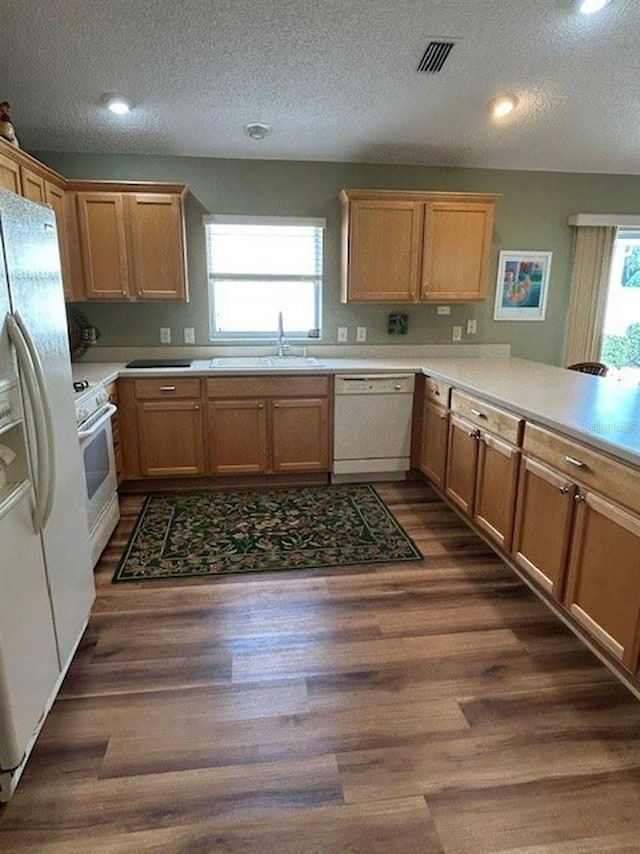 kitchen featuring white appliances, a textured ceiling, dark wood-style flooring, and a sink