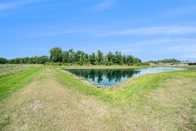 18161 Hunters Meadow Walk, Land O Lakes, FL 34638 - photo 34