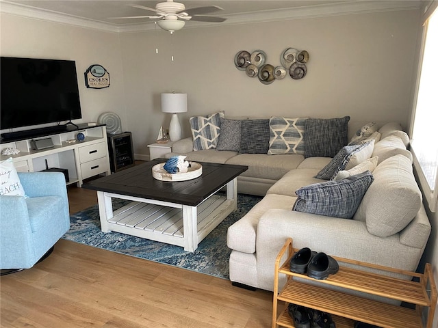 8320 112th St Unit 206, Seminole, FL 33772 - living area with a ceiling fan, wood finished floors, and ornamental molding