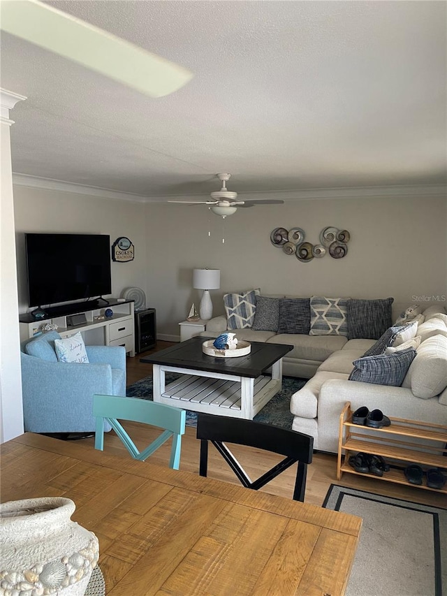 8320 112th St Unit 206, Seminole, FL 33772 - living area with a ceiling fan and ornamental molding