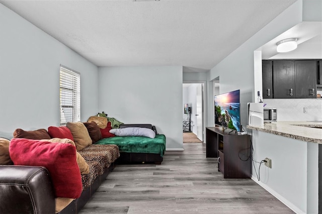 living room featuring baseboards and light wood finished floors