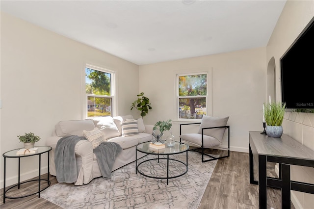 1419 55th St S, Gulfport, FL 33707 - living area with baseboards, wood finished floors, and arched walkways