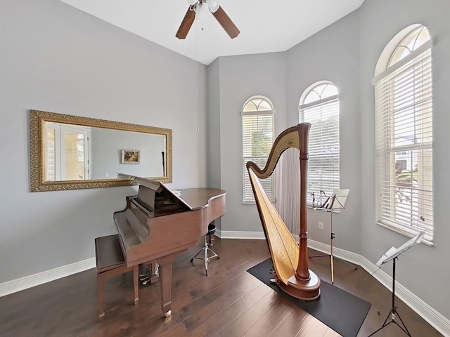 1312 Fishing Lake Dr, Odessa, FL 33556 - interior space with wood finished floors, a ceiling fan, and baseboards