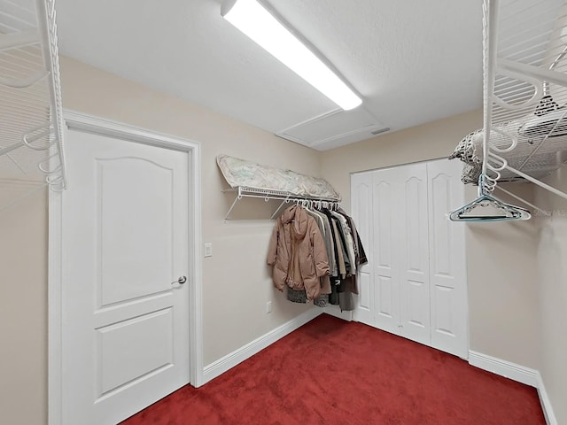 1312 Fishing Lake Dr, Odessa, FL 33556 - spacious closet featuring dark colored carpet and visible vents