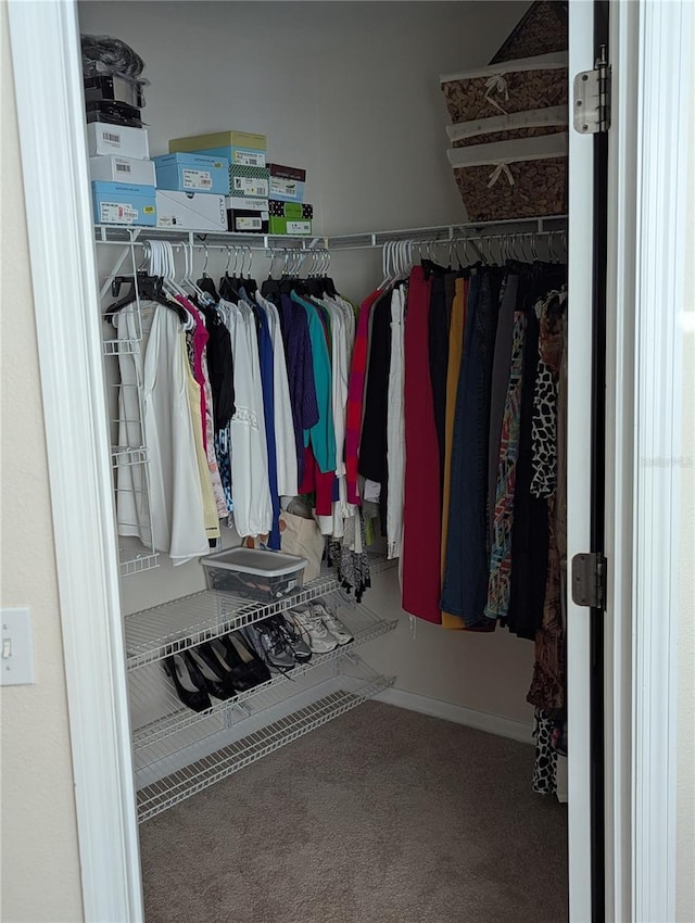 spacious closet featuring carpet floors