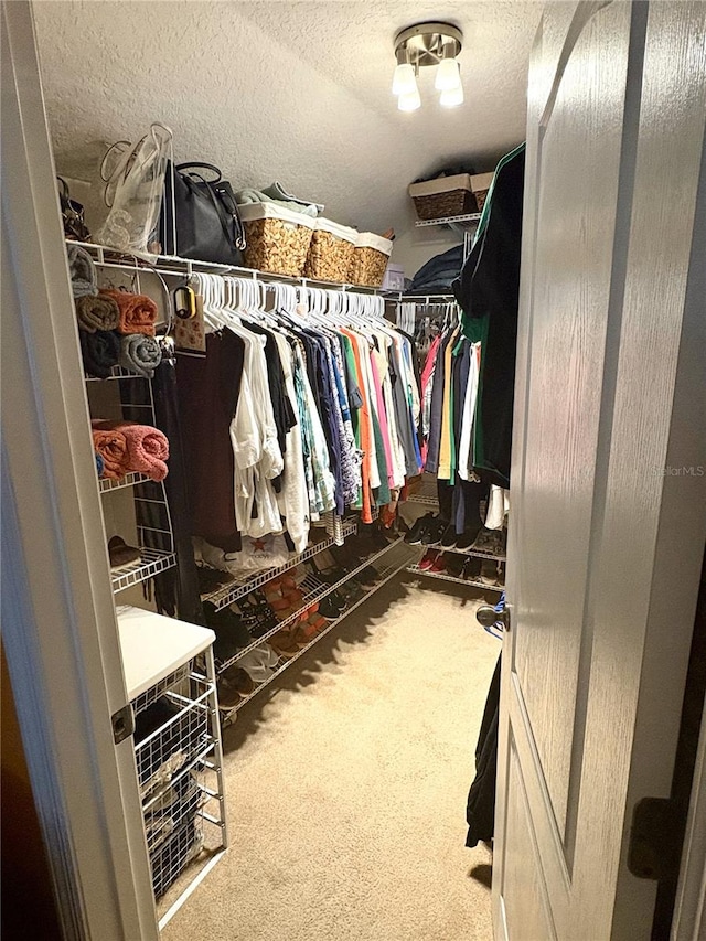 spacious closet with carpet flooring