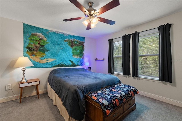 6225 Scarlet Darter Way, Tampa, FL 33625 - carpeted bedroom with baseboards and ceiling fan