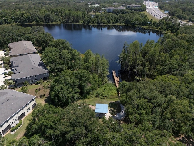 6225 Scarlet Darter Way, Tampa, FL 33625 - aerial view of property and surrounding area with a nearby body of water and a heavily wooded area