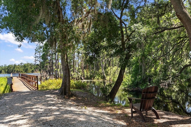 6225 Scarlet Darter Way, Tampa, FL 33625 - view of home's community with a water view and a view of trees