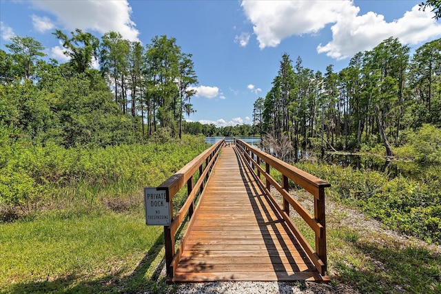 6225 Scarlet Darter Way, Tampa, FL 33625 - view of home's community with a wooded view