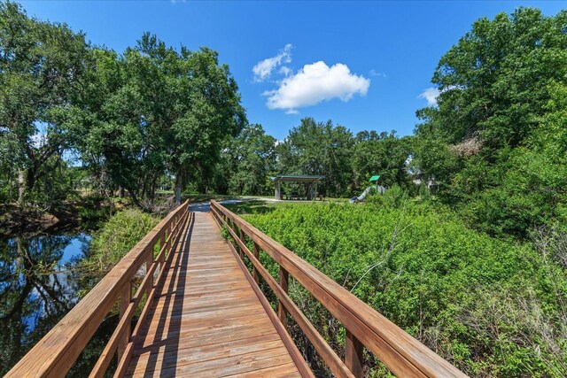 6225 Scarlet Darter Way, Tampa, FL 33625 - view of dock