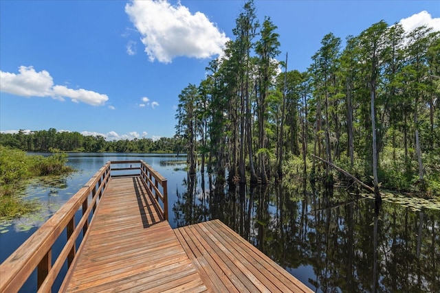 6225 Scarlet Darter Way, Tampa, FL 33625 - dock with a water view and a view of trees