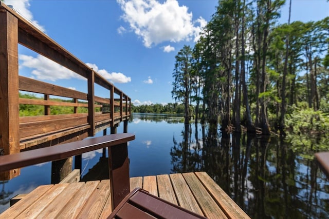 6225 Scarlet Darter Way, Tampa, FL 33625 - dock area with a water view