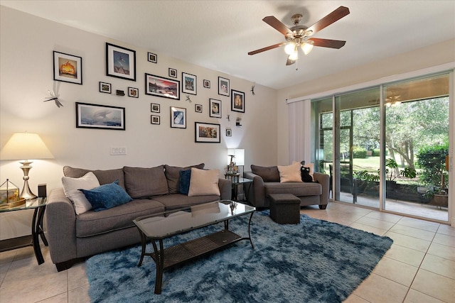 6225 Scarlet Darter Way, Tampa, FL 33625 - photo 5