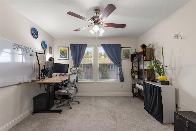 6225 Scarlet Darter Way, Tampa, FL 33625 - photo 25