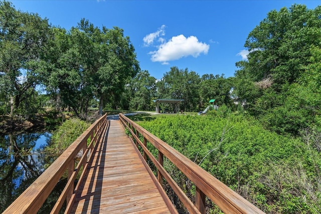 6225 Scarlet Darter Way, Tampa, FL 33625 - photo 35