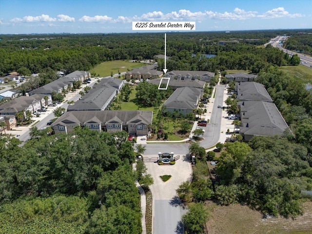 6225 Scarlet Darter Way, Tampa, FL 33625 - photo 2
