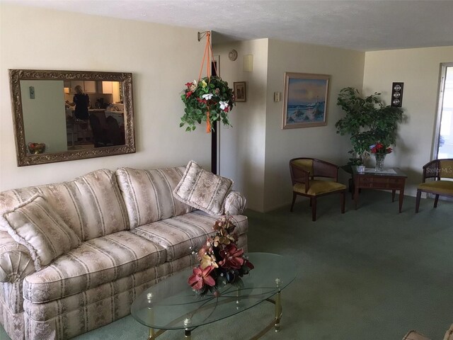 3850 Sablewood Dr, Holiday, FL 34691 - photo 7