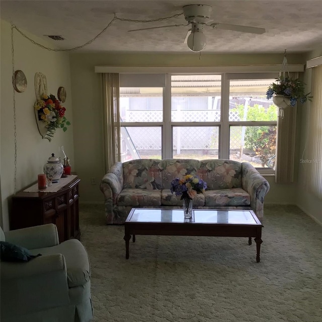 3850 Sablewood Dr, Holiday, FL 34691 - photo 21