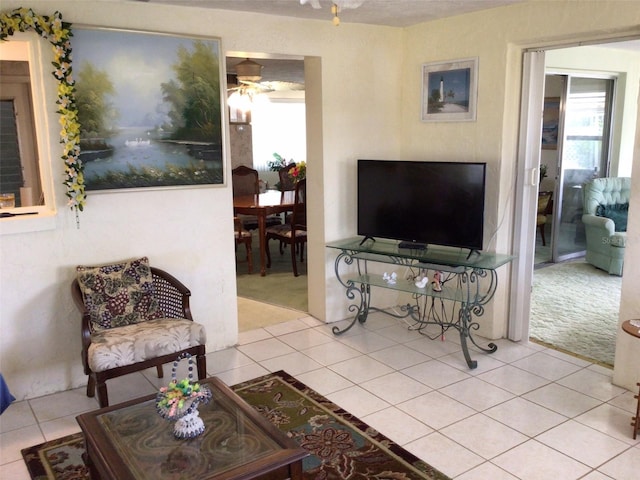 3850 Sablewood Dr, Holiday, FL 34691 - photo 23