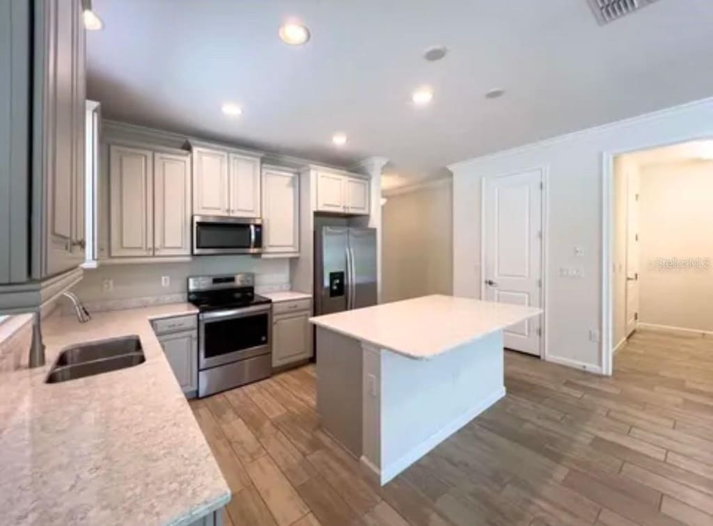 10729 Planer Picket Dr, Riverview, FL 33569 - kitchen with ornamental molding, appliances with stainless steel finishes, a kitchen island, and a sink