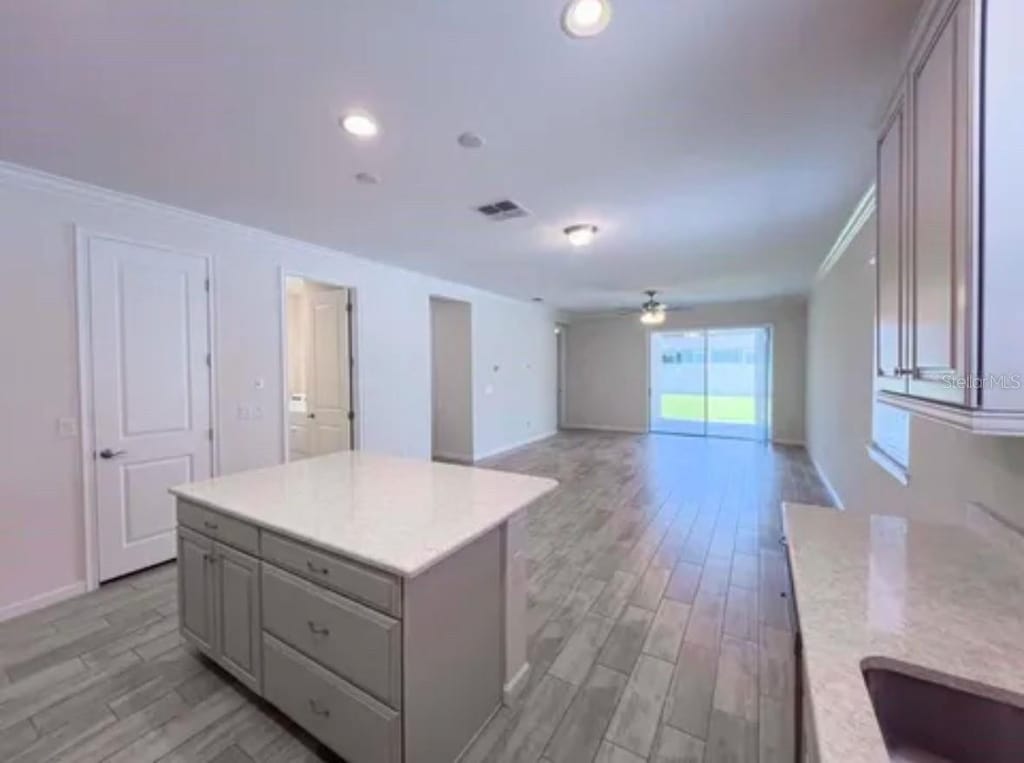 10729 Planer Picket Dr, Riverview, FL 33569 - kitchen featuring a kitchen island, light wood finished floors, gray cabinetry, visible vents, and a ceiling fan