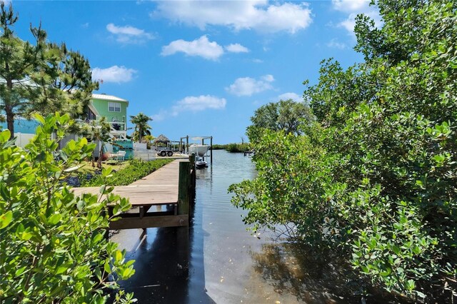 9118 Brunswick Ln, Tampa, FL 33615 - photo 37