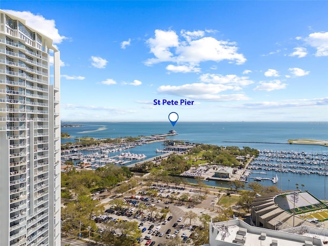 175 1st St S Unit 2603, Saint Petersburg, FL 33701 - view of water feature