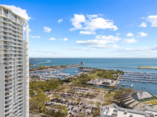 175 1st St S Unit 2603, Saint Petersburg, FL 33701 - view of water feature