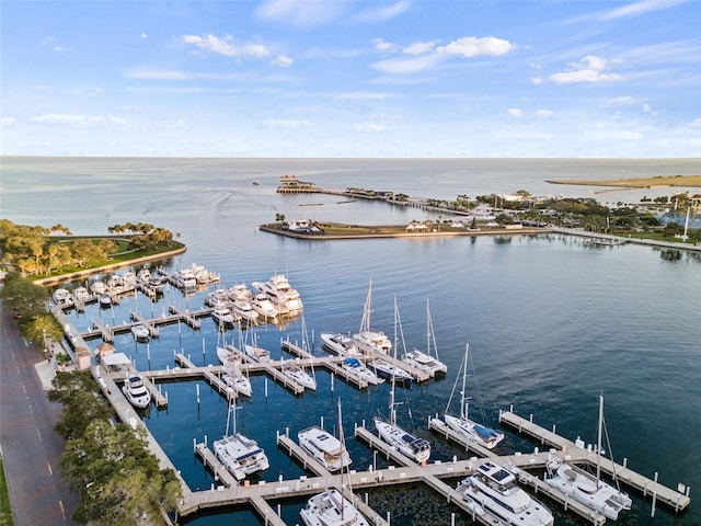 175 1st St S Unit 2603, Saint Petersburg, FL 33701 - drone / aerial view with a water view