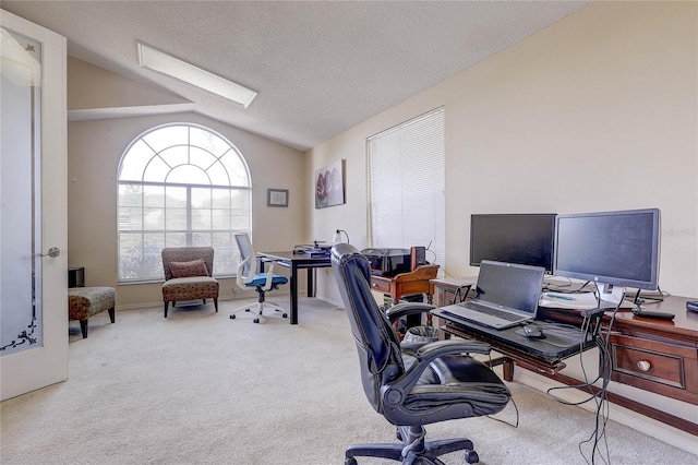 6410 Beaver Way, Tampa, FL 33625 - home office featuring carpet floors, a textured ceiling, and lofted ceiling