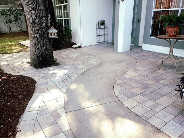 6410 Beaver Way, Tampa, FL 33625 - view of patio / terrace