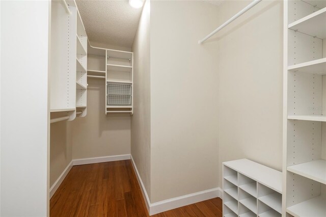 1916 Sandstone Pl, Clearwater, FL 33760 - photo 25