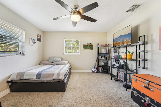 4091 Cherry St NE, Saint Petersburg, FL 33703 - photo 22