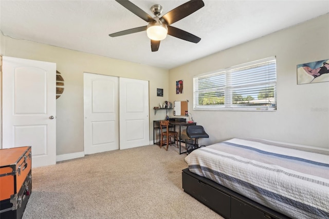 4091 Cherry St NE, Saint Petersburg, FL 33703 - photo 23