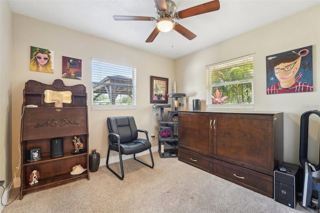 4091 Cherry St NE, Saint Petersburg, FL 33703 - photo 25