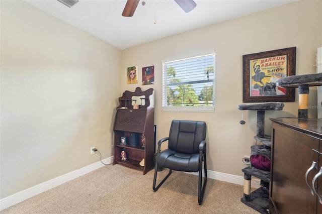 4091 Cherry St NE, Saint Petersburg, FL 33703 - photo 26
