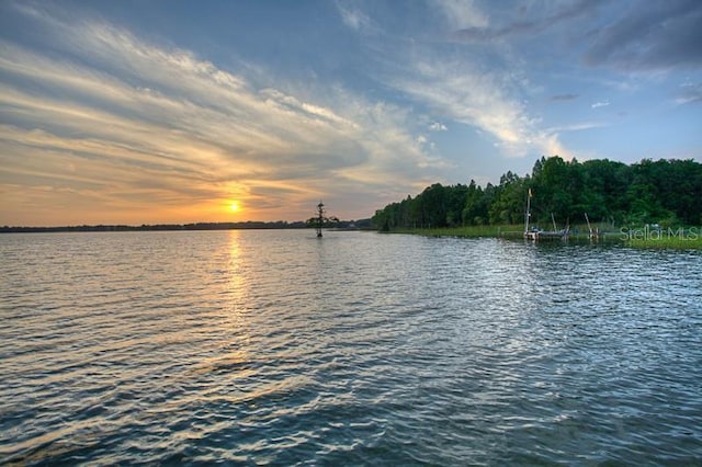 property view of water