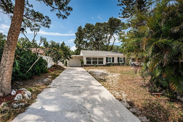 8054 38th Ave N, Saint Petersburg, FL 33710 - photo 15