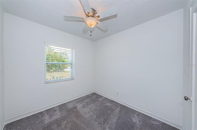 8054 38th Ave N, Saint Petersburg, FL 33710 - photo 38