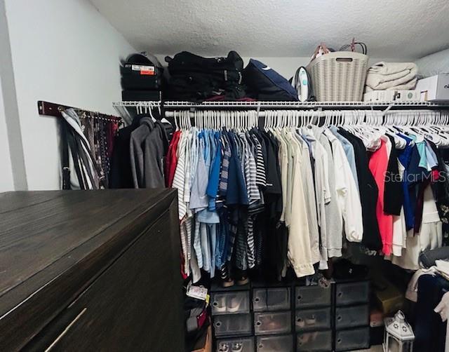 6401 30th Way N, Saint Petersburg, FL 33702 - view of walk in closet
