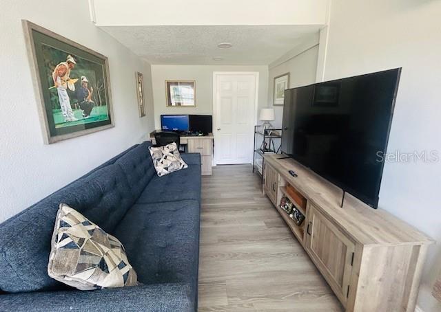 6401 30th Way N, Saint Petersburg, FL 33702 - living room with light wood-style floors