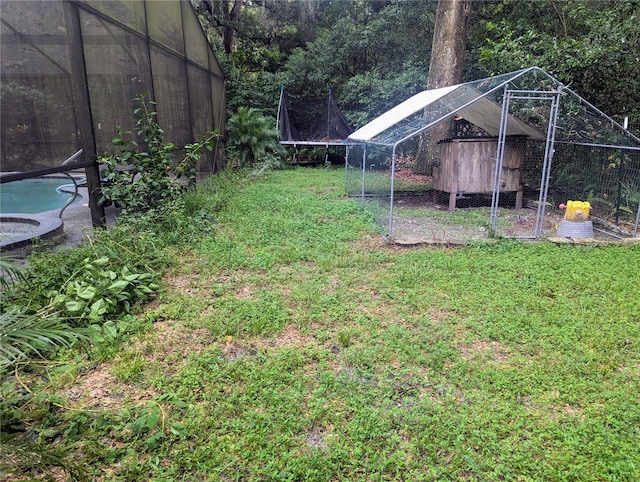 37654 Eiland Blvd, Zephyrhills, FL 33542 - view of yard featuring a pool and a trampoline