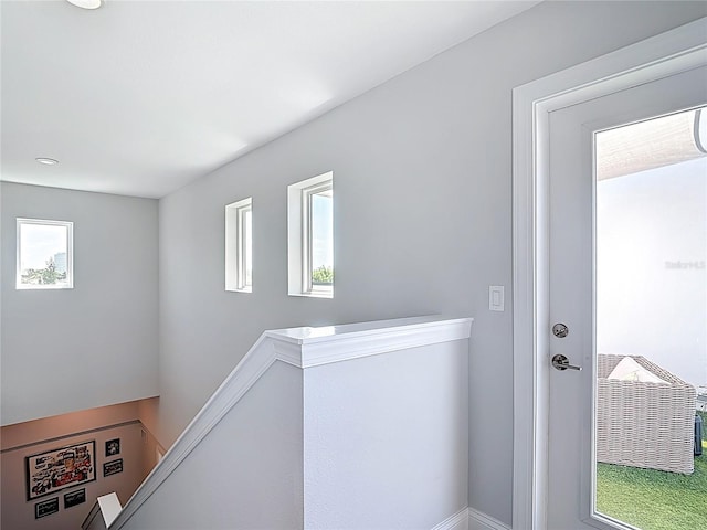 4215 W N A St Unit 3, Tampa, FL 33609 - photo 46